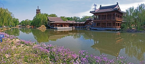 鬧市中一方凈土,北方的蘇州園林 記北京榆樹小園