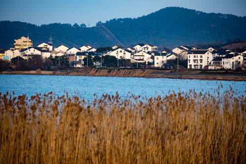 蘇州打造 太湖生態島