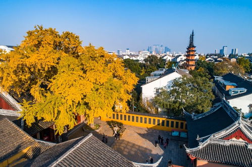 2021中秋月餅博物館,請訪問bowuguan.taobao.com9 xixi av0mxopgqc5 世界博物館環游.世界 極品中文域名限時出售蘇州 江蘇 中國 旅游 環游世界 旅行 景點 度假 人文 歷史 文化 文藝 自然 風光 風景 民俗 觀光 江