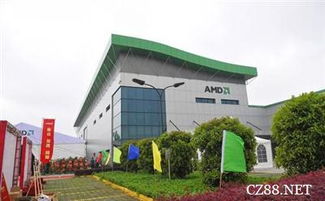 刷新微軟紀錄 amd或已補交14億元稅款