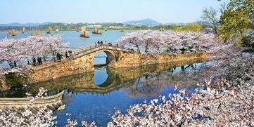 蘇州火車站出發(fā) 實(shí)時計(jì)價(jià) 華東五市 黿頭渚賞太湖 蘇州園林 水鄉(xiāng)周莊 烏鎮(zhèn) 南潯古鎮(zhèn)高鐵6日跟團(tuán)游 同程旅游