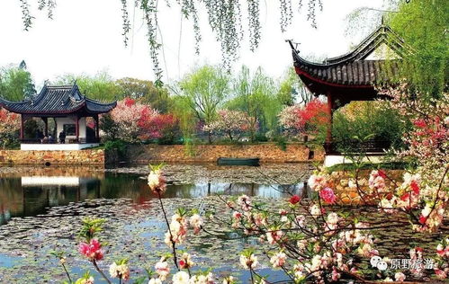 蘇州香雪海 木瀆古鎮(zhèn) 盤門 七里山塘街二日游