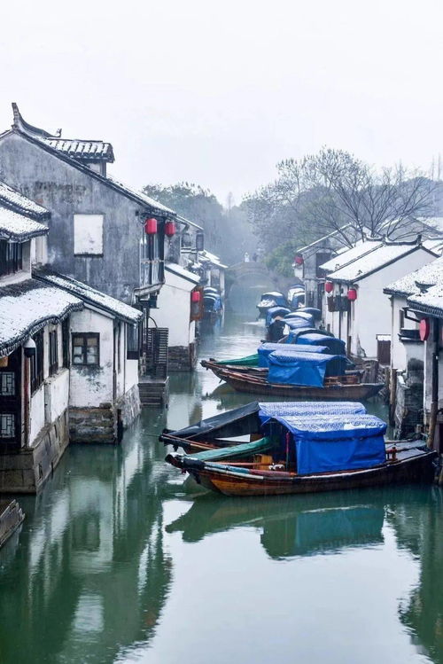 元旦快來了,國內游還是國外游,您想好了嘛