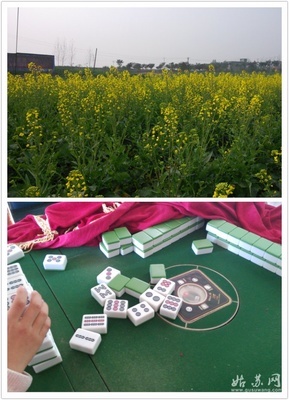 [喜游新年]回成都過新年 - 國內游 - 姑蘇網 - 蘇州綜合社區門戶網站|蘇州論壇|姑蘇論壇|蘇州門戶網